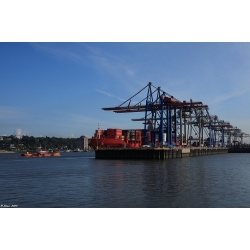 Container  Hafen